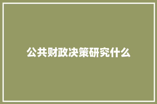 公共财政决策研究什么