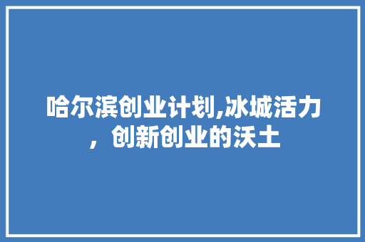 哈尔滨创业计划,冰城活力，创新创业的沃土