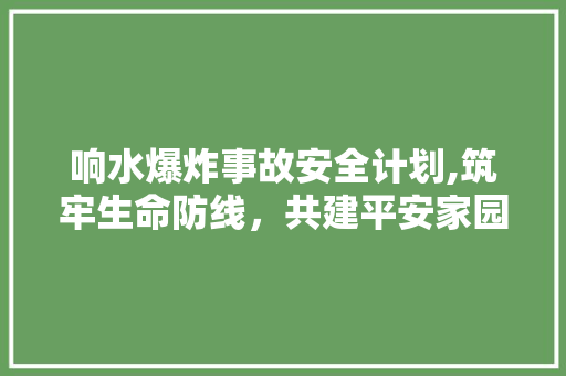 响水爆炸事故安全计划,筑牢生命防线，共建平安家园