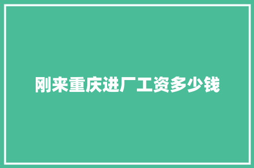刚来重庆进厂工资多少钱