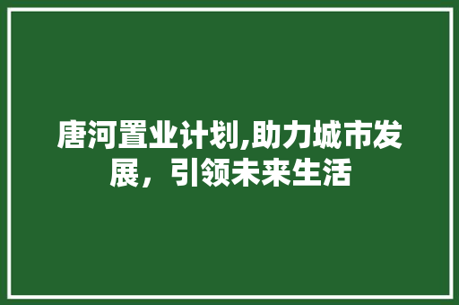 唐河置业计划,助力城市发展，引领未来生活